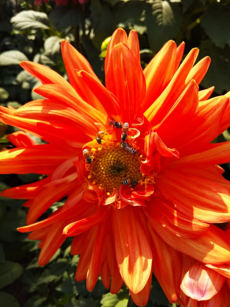 This image has an empty alt attribute; its file name is image-4-768x1024.png