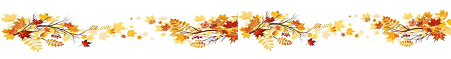 This image has an empty alt attribute; its file name is image-4.png