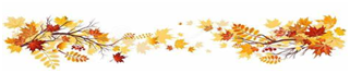 This image has an empty alt attribute; its file name is image-29.png