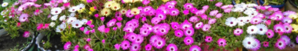 This image has an empty alt attribute; its file name is Polish_20220201_111142047.jpg