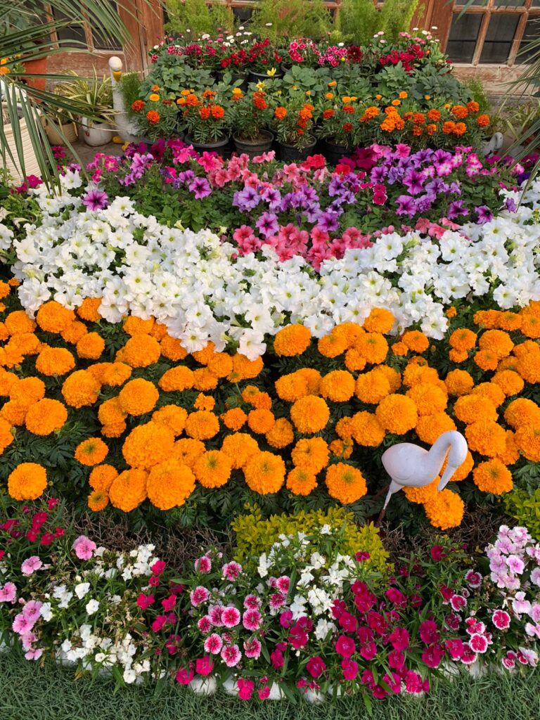 This image has an empty alt attribute; its file name is IMG-20221006-WA0225-768x1024.jpg