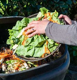 Image result for How to Compost Kitchen Scraps