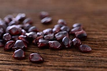Image result for tamarind seeds