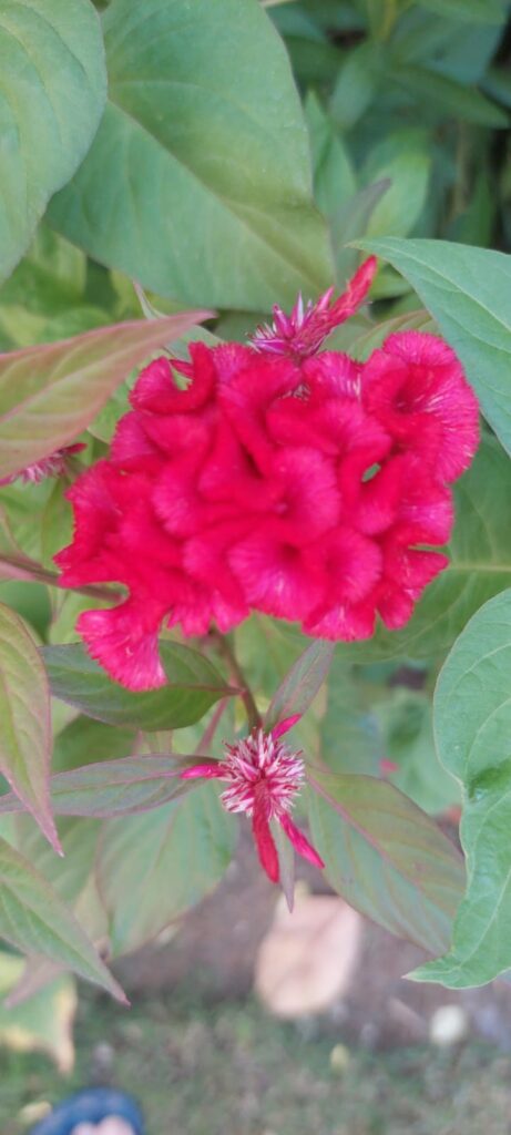 This image has an empty alt attribute; its file name is IMG-20230714-WA0170-461x1024.jpg
